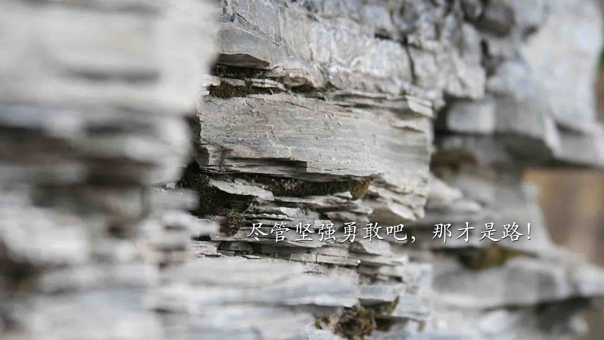 中国足球产业创造力不断激发,加入国际合作新步伐,中国足球事业发展