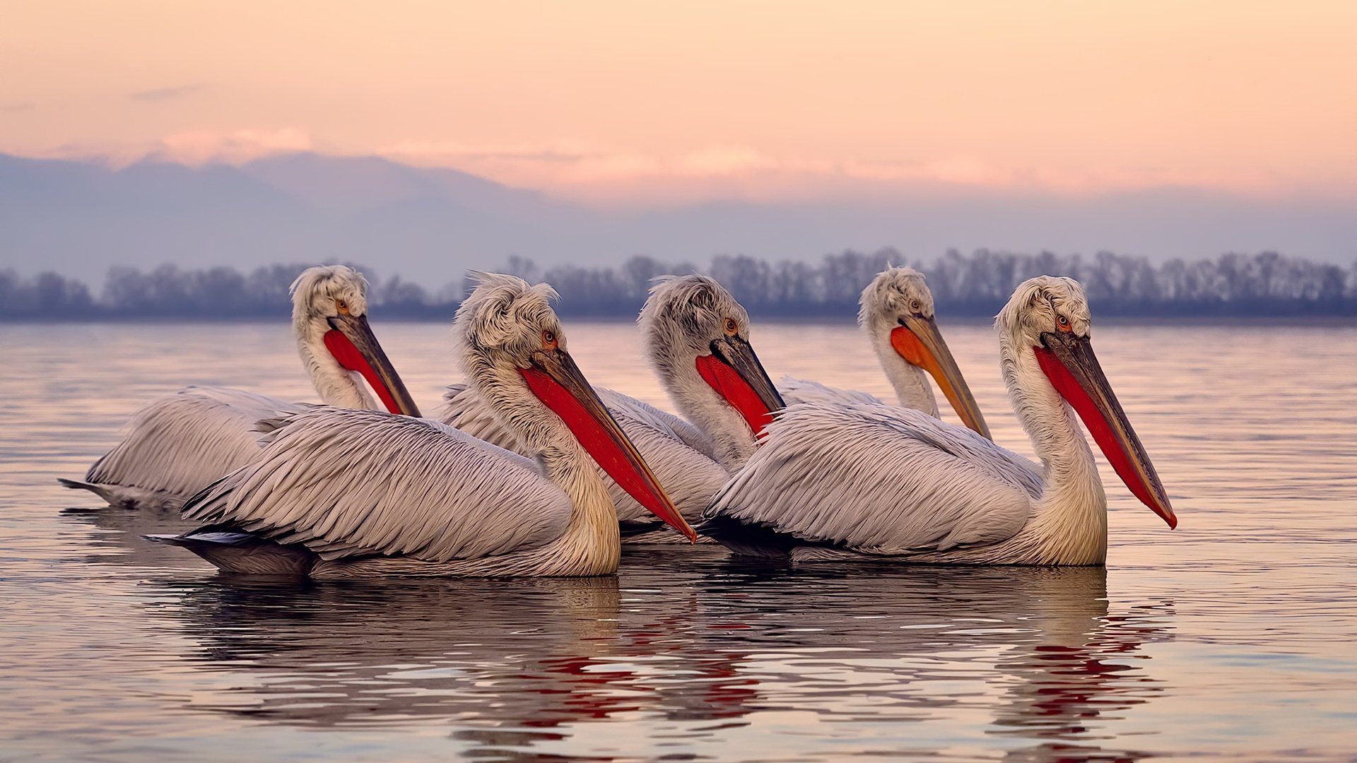 史诗级大战：欧冠冠军悬念逐渐揭晓，欧冠比赛冠军